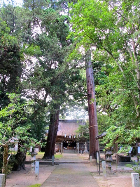 b0302299_15525550.jpg