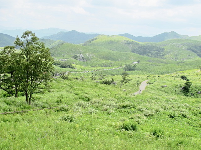 b0302299_15554990.jpg