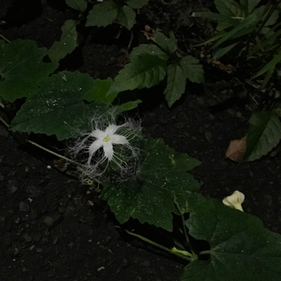 b0099903_13473270.jpg