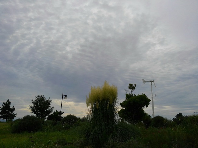 e0360409_19441380.jpg