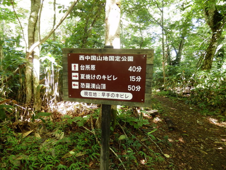 f0219710_14311784.jpg