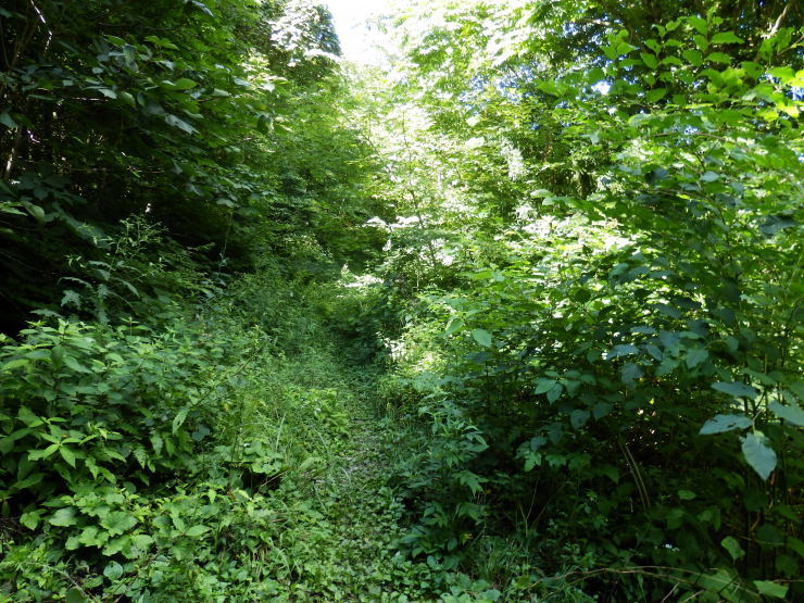 f0219710_14334879.jpg