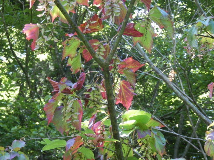 f0219710_14510035.jpg