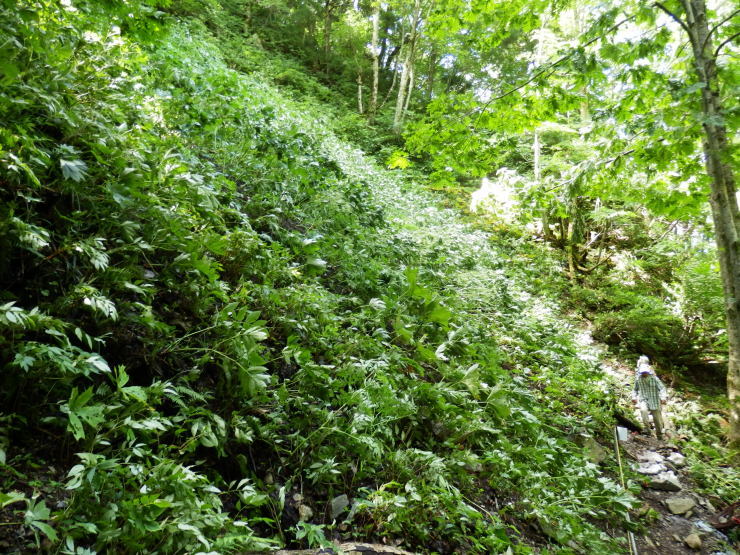 f0219710_14545609.jpg
