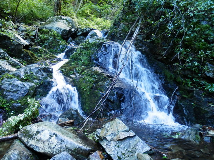 f0219710_14593224.jpg