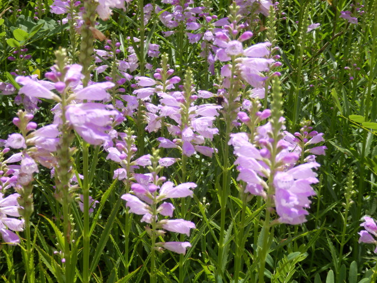 f0219710_15123504.jpg
