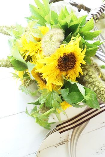 b0151911_12150880.jpg