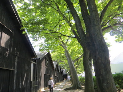 b0226219_10392667.jpg