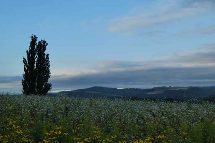 c0051620_9104636.jpg