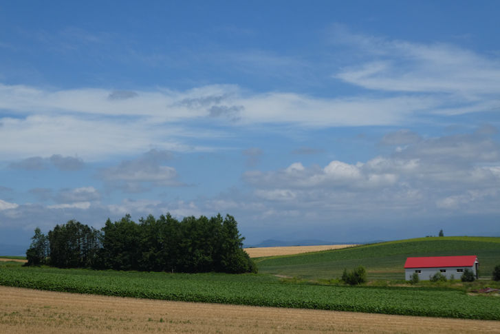 c0051620_984339.jpg