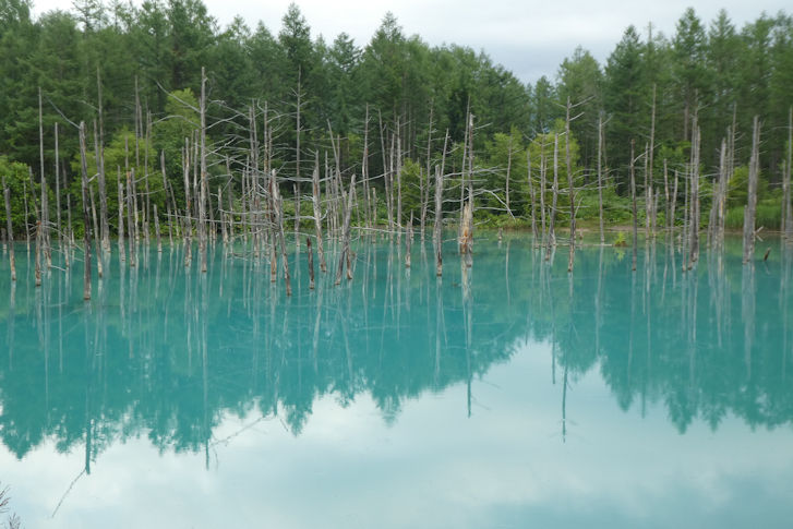 c0051620_993443.jpg