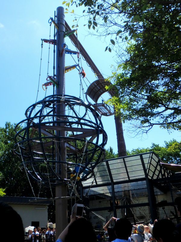 d0091323_12251666.jpg
