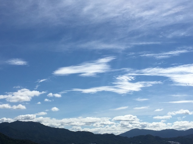f0231829_10535710.jpeg