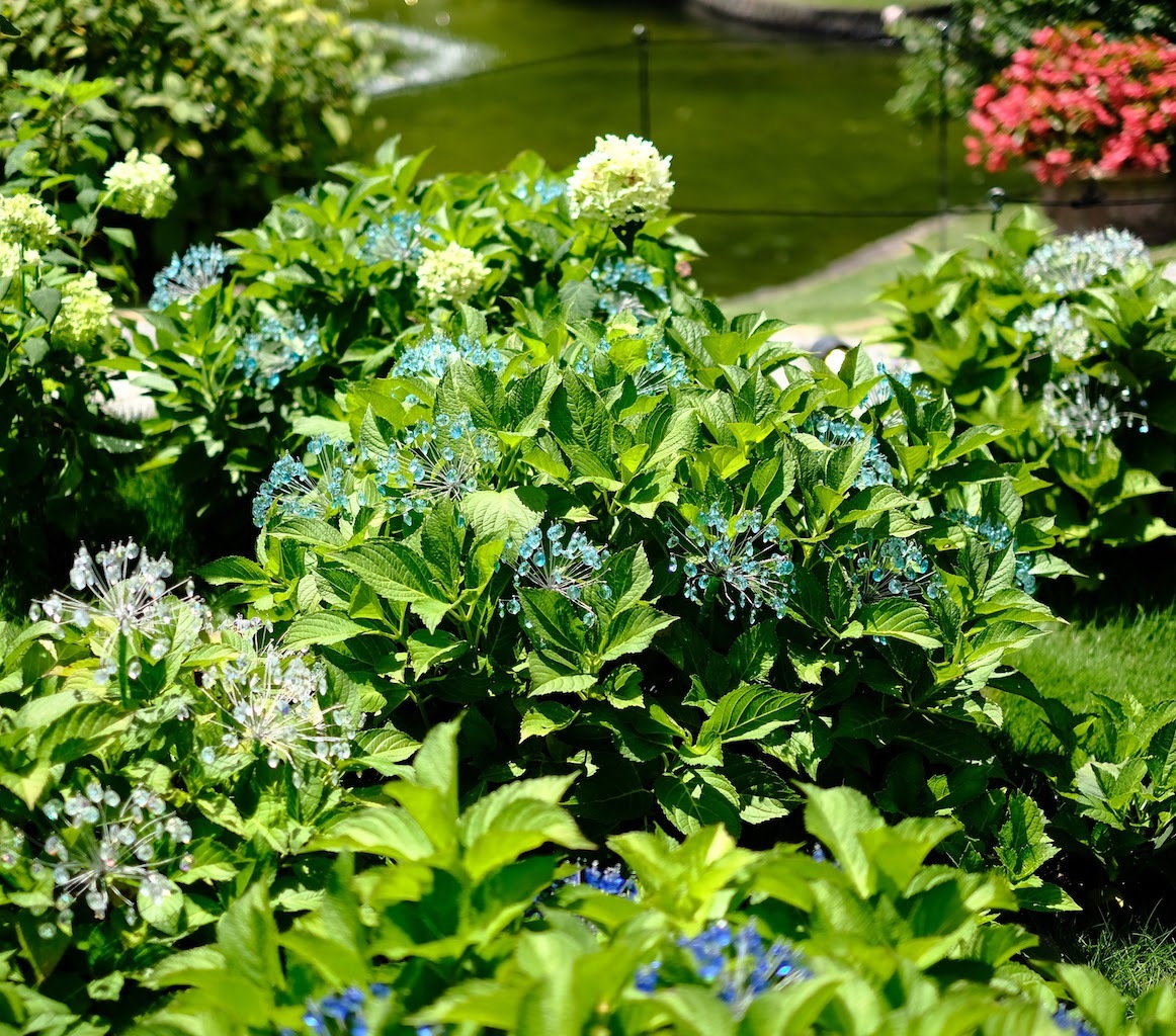 b0024832_13592291.jpg