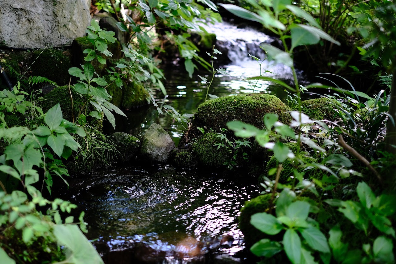 b0024832_13595785.jpg