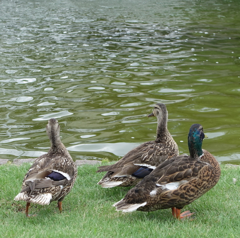 b0024832_14153354.jpg