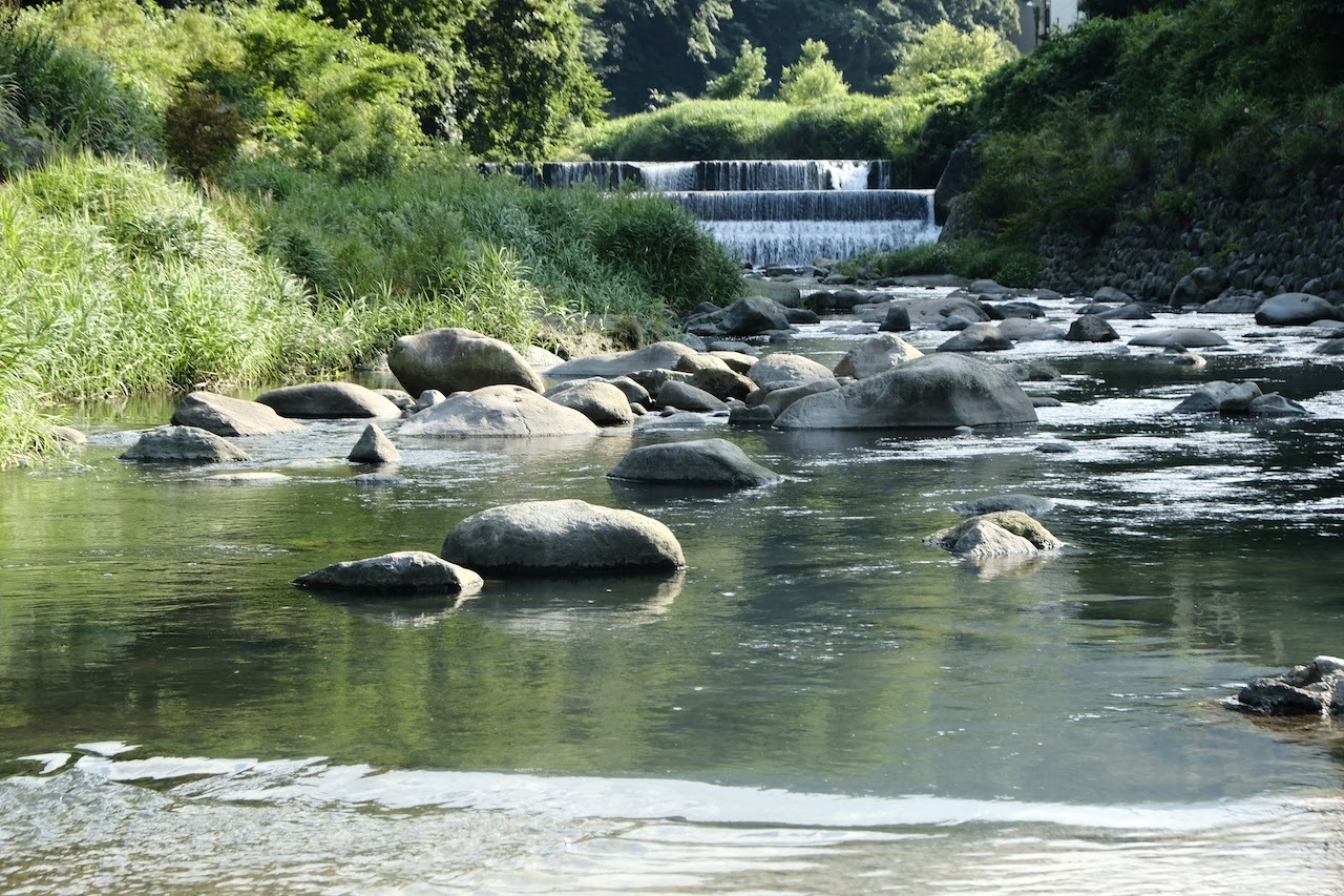 b0024832_14210385.jpg