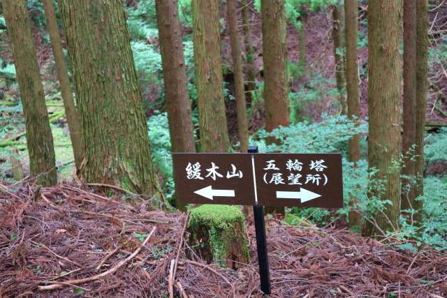 e0272335_18232030.jpg