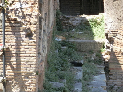 d0049238_16305614.jpg