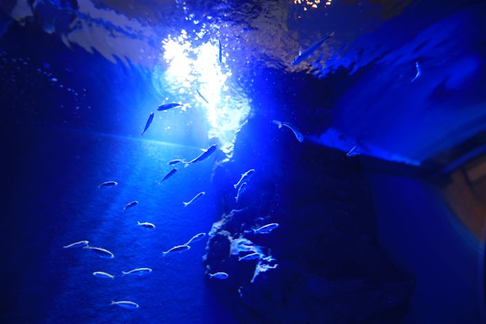d0035444_203386.jpg