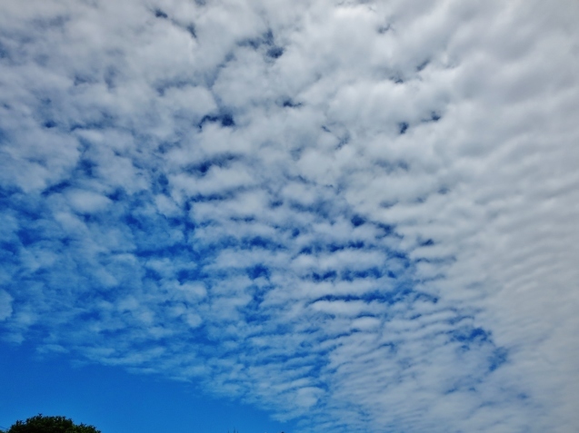 c0099564_19472095.jpg