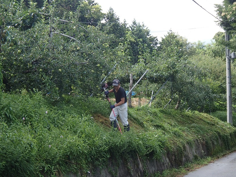 e0108765_22222873.jpg