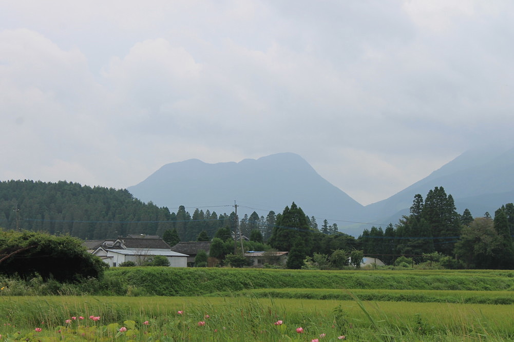 b0088173_20364361.jpg