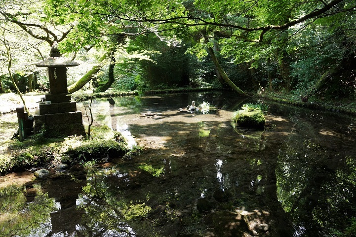 c0248473_19074199.jpg