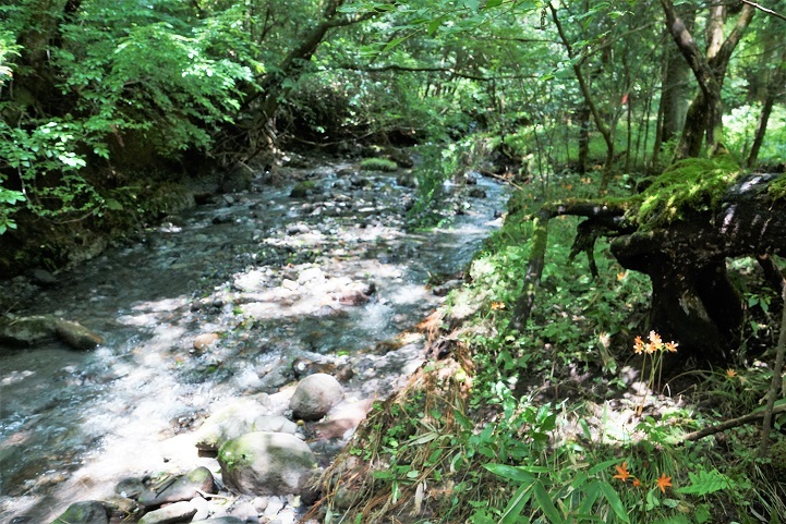 c0248473_19081588.jpg