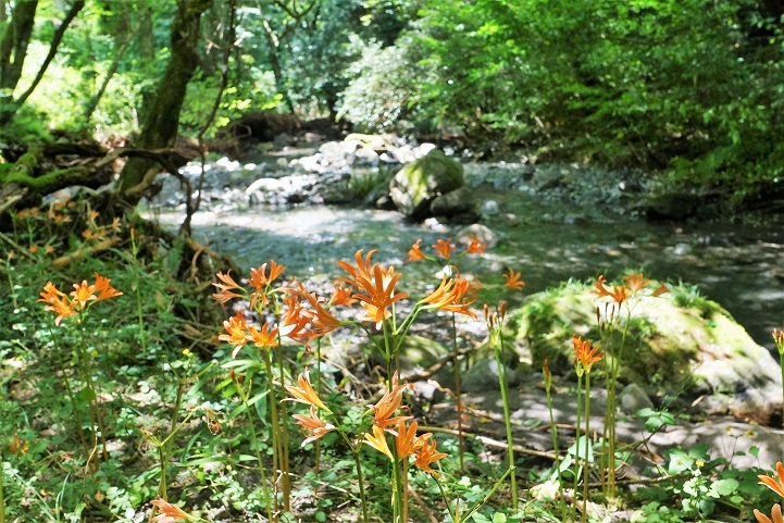 c0248473_19082571.jpg