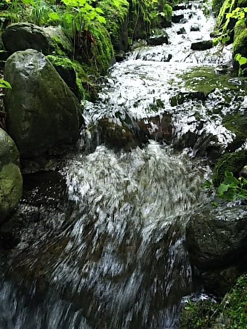 d0353074_18173983.jpg