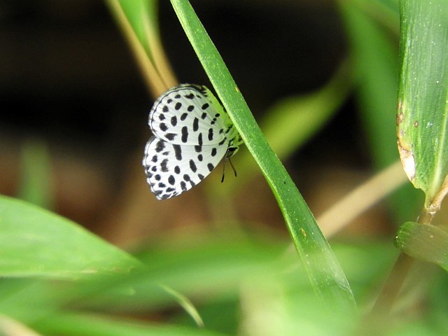 f0378979_20334187.jpg