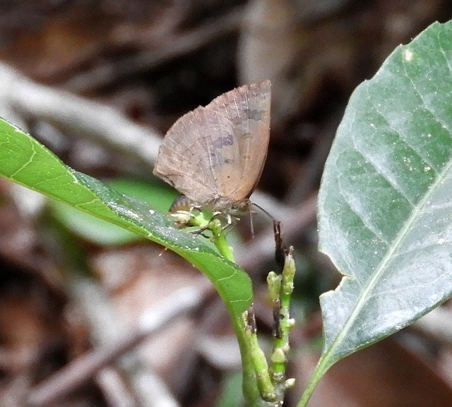 f0378979_20522556.jpg