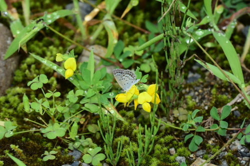 f0348480_17584715.jpg