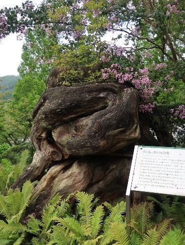 d0098183_18175608.jpg