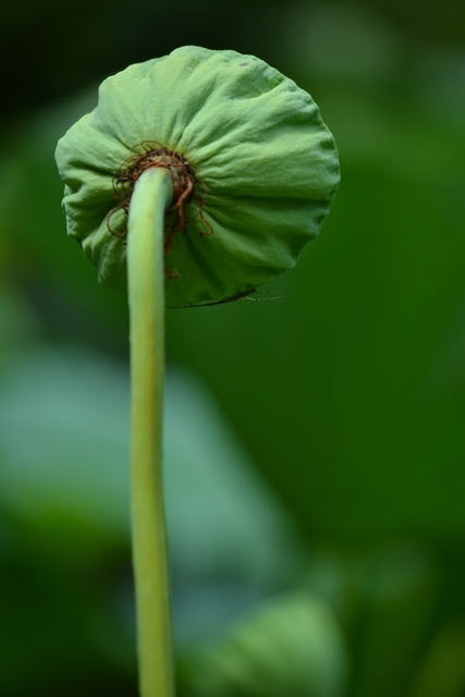 a0240403_22112324.jpg
