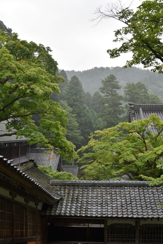 b0312230_20112690.jpg