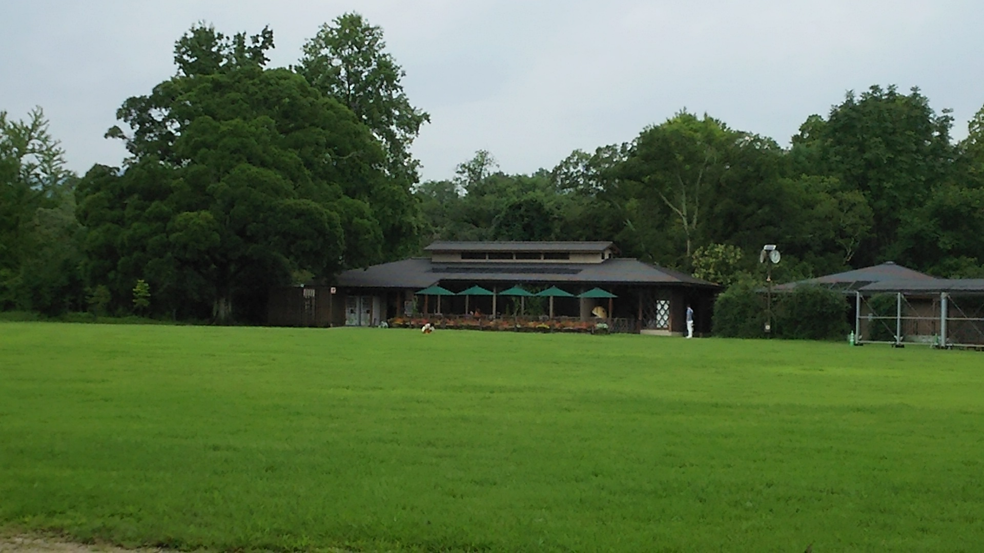 a0227531_13022571.jpg