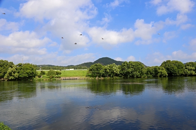 a0242438_20040579.jpg