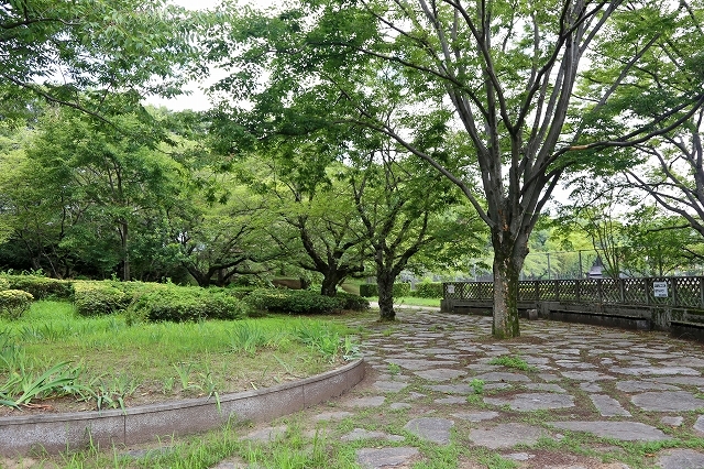 a0242438_20040586.jpg
