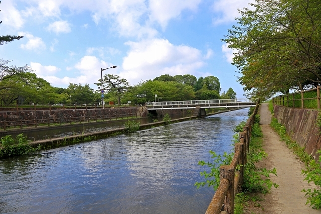 a0242438_20040685.jpg