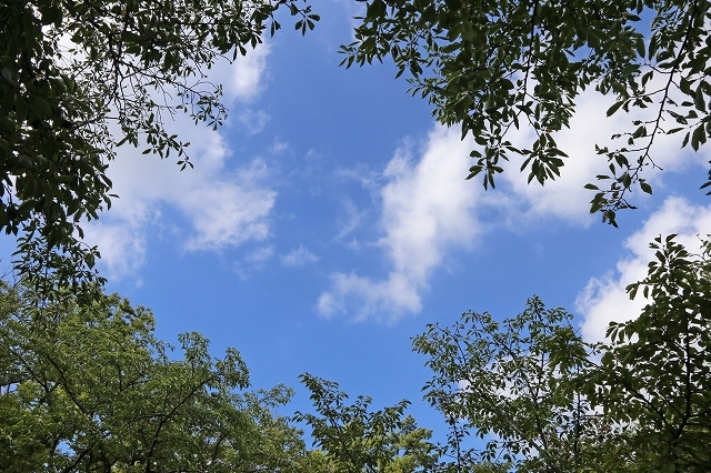 a0242438_20051987.jpg