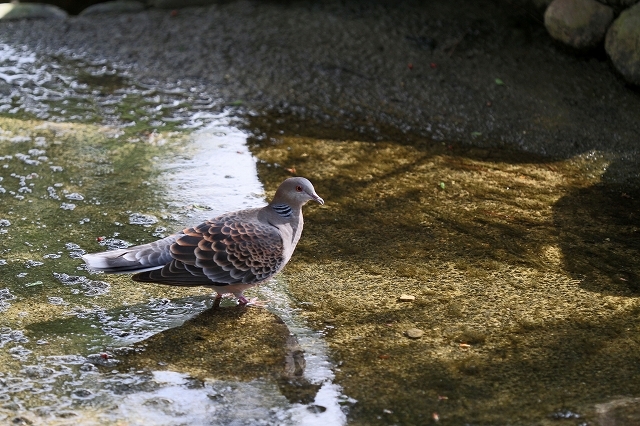 a0242438_20083271.jpg