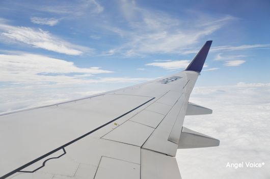 d0147742_15135696.jpg