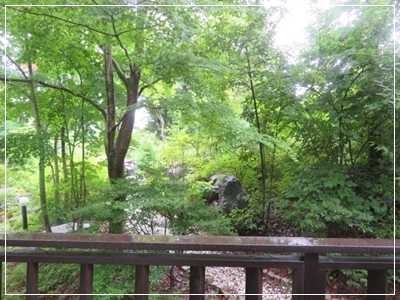b0254145_21342945.jpg