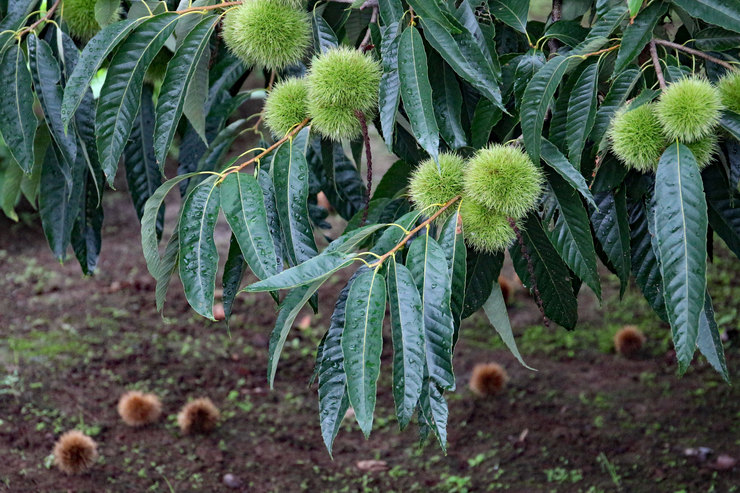 a0120949_632879.jpg