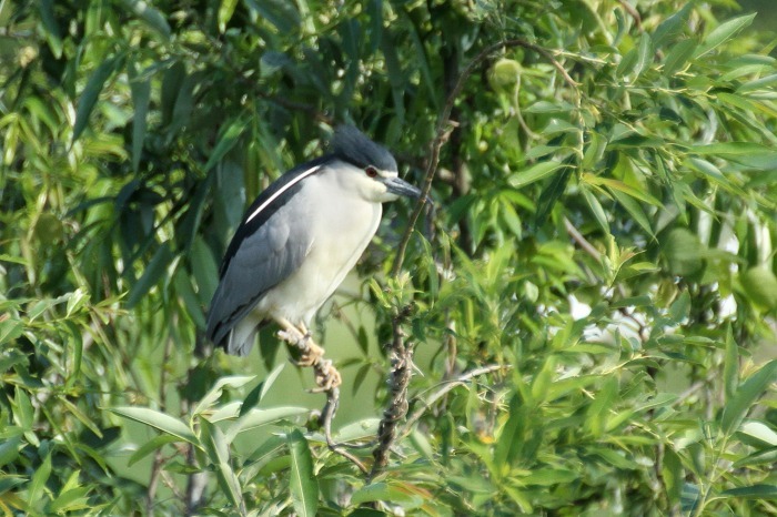 c0155950_10011760.jpg