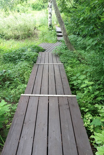 c0178453_17561281.jpg