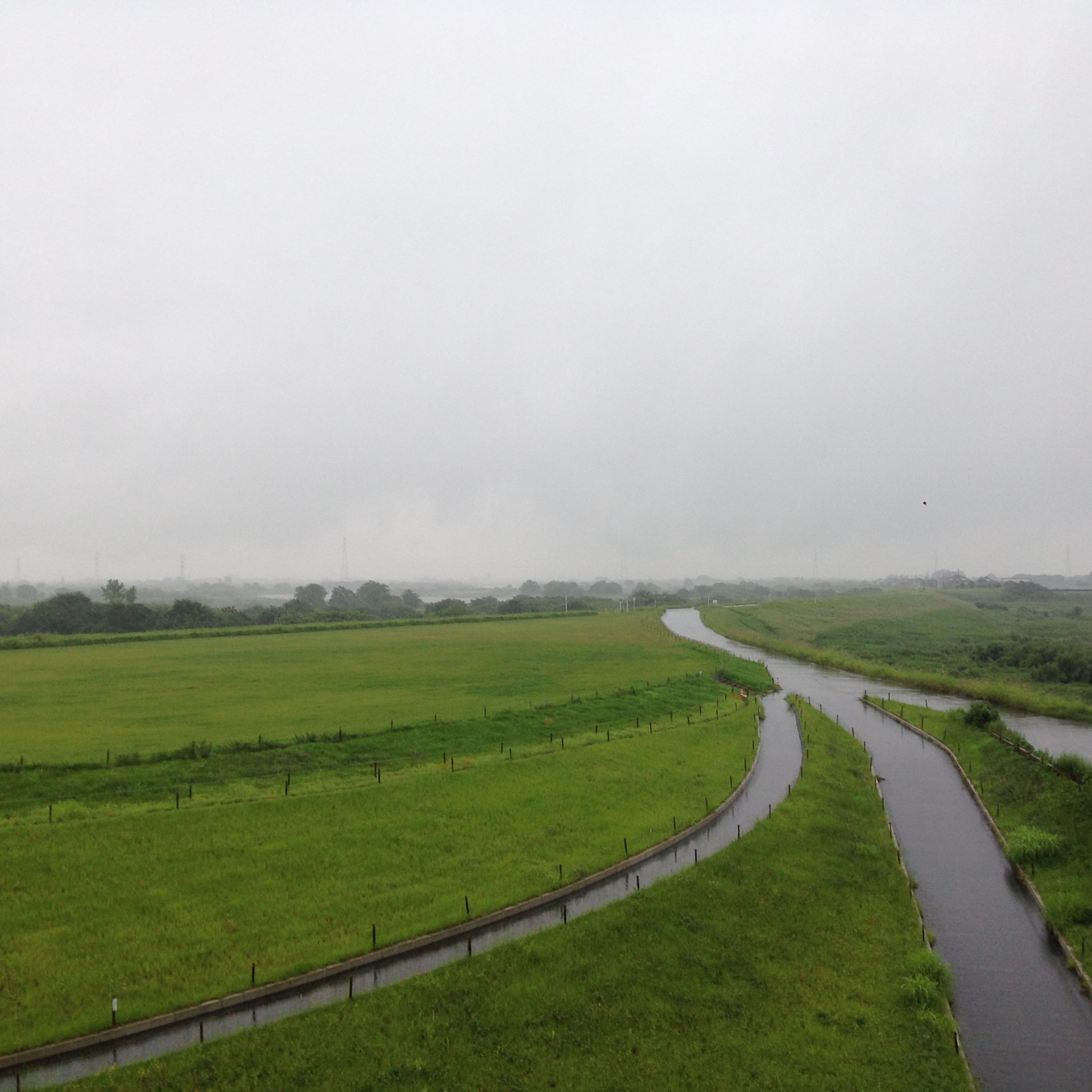 d0056455_21162631.jpg