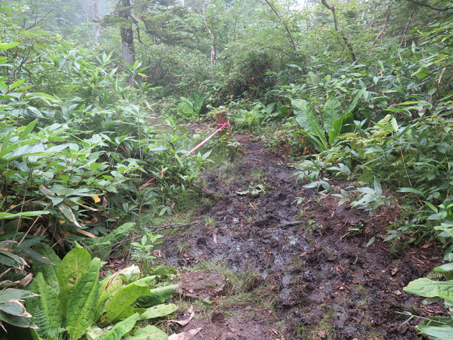 c0116856_07131289.jpg